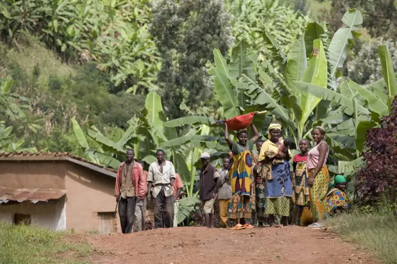 Development Partners